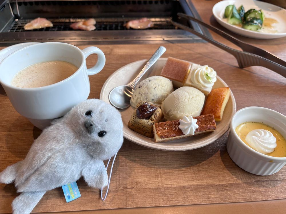 平日昼間のプレミアムカルビ🥩
(たんぽぽ代打のあざらしくん🦭)