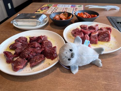 平日昼間のプレミアムカルビ🥩
(たんぽぽ代打のあざらしくん🦭)