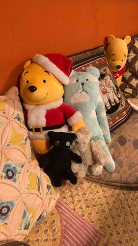 きのう連れていってもらったぴざやさん、有名なぬいぐるみさんいっぱいいた
記念写真📸