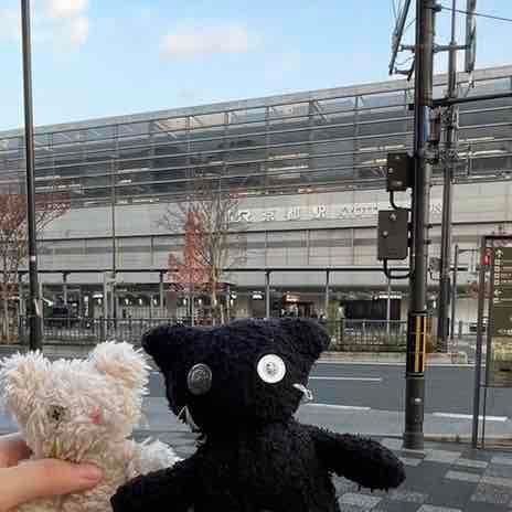 京都駅でぱしゃり📸
にゃんちゃんもふわもこにやってきたみたい！嬉しい！