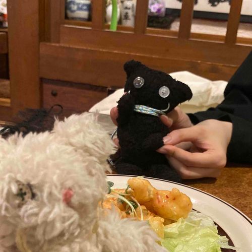 にゃんちゃんとエビマヨ🍤