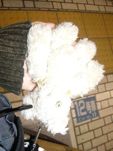 京都たのしかったナ