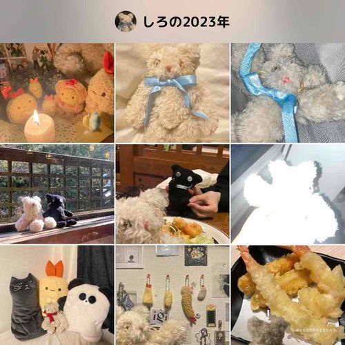 来年もしろのペースでのんびりふわもこするね
みんなものんびりね