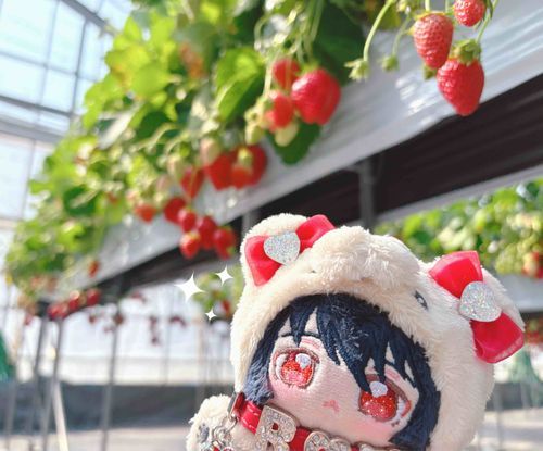 いちご〜🍓