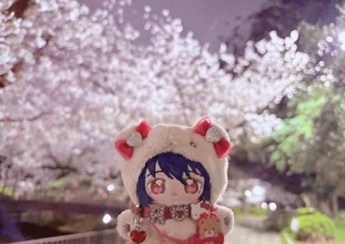 ぬしとおさんぽ