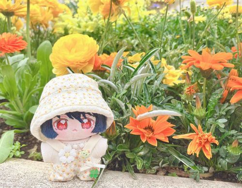 ぽかぽか
