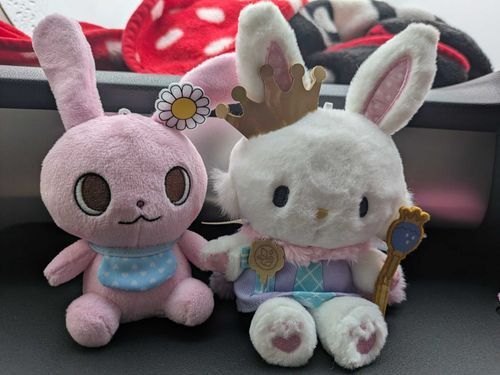 メルにおともだちができたよ〜✨マナンちゃんっていうんだ！