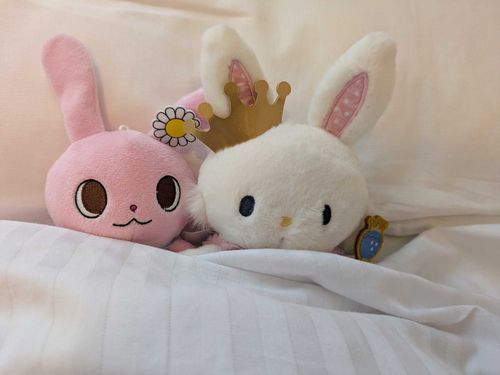 ホテルのふかふかベッド✨🛌