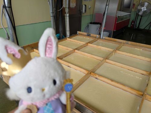 はじめてのゆばすくい♪🌱