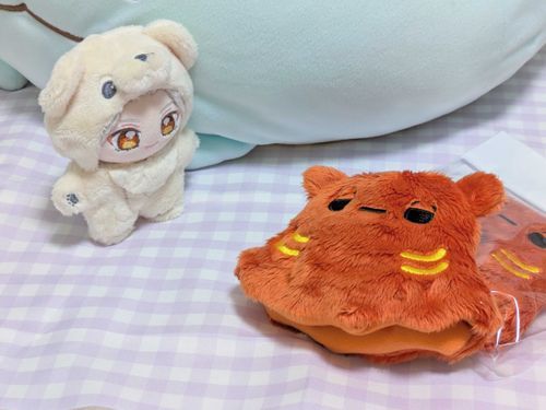 めんだこがとどいたときの写真だよ
そうぞうしていたより大きくてこわいね