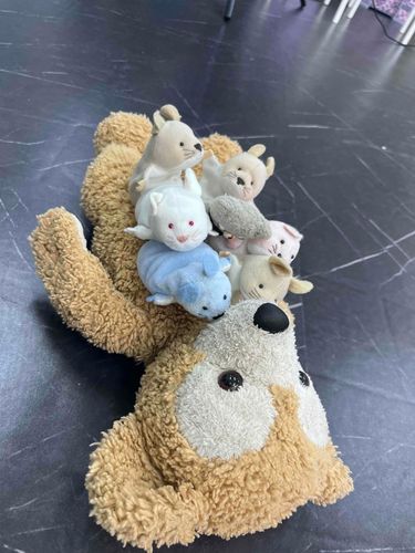 7人のっても大丈夫