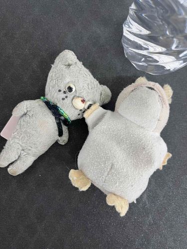 もずくはネッピーに素手で眼球をさわられ失明しました。