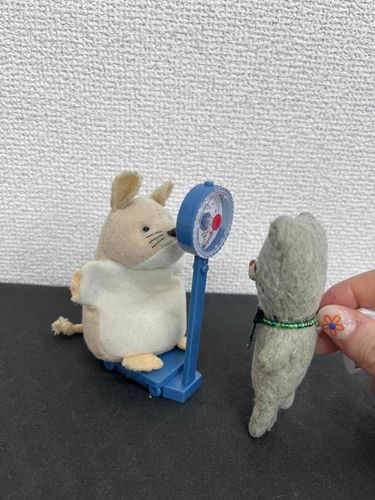 62キロです