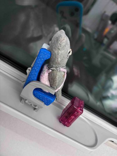 もずくの車窓から
