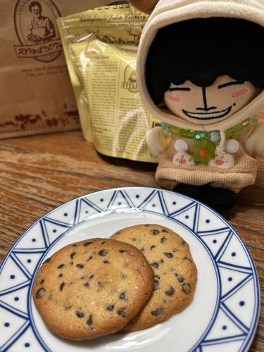 せかいでいちばんだーいすき！な
ステラさんのチョコチップクキ🍪

なんでこれがすきなんかおはなししたことあったっけ？
それはな……
もちぬしさんとはじめてたべたおやつやったから！

