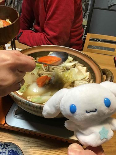 本日の夜ご飯は、、
お鍋です！今日はシナモンがお届けしてまーす♪