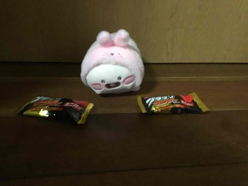 ご主人様が学校から帰ってきたので、一緒にブラックサンダー食べます！アピーチより