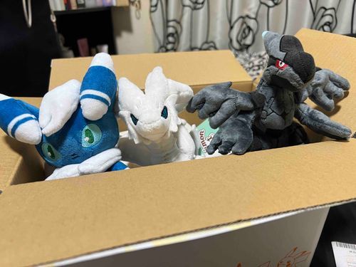 可愛いポケモンの箱に乗って
ニャオニクス(♂)とレシラム、ゼクロムが
お家に来たよ🏠
レシラムとゼクロムは
彼氏の家に行くために
ここで少し休憩して行くみたい☺️
#ポケモン #ポケfit 
#ニャオニクス
#レシラム
#ゼクロム