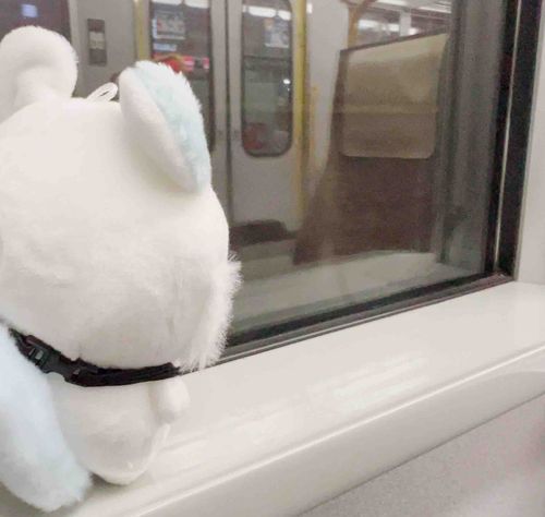 宿主の出勤についてきて
いっしょに電車に乗る
もんちゃん꒰՞o̴̶̷̤ᾥo̴̶̷̤՞꒱
#ちいかわ #モモンガ 