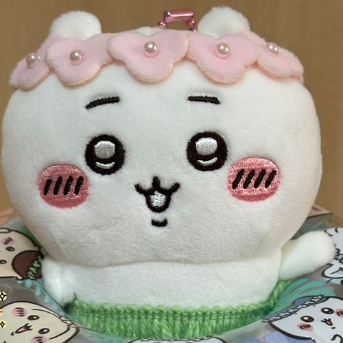 最近このアプリを使い始めたので分からないことが沢山あります！よろしくお願いします🙇‍♀️