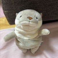 かわうそ