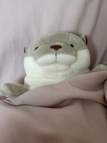 おやすみ🛌💤