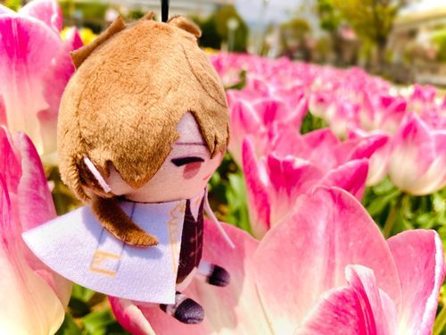 花でひと休みな妖精さん💐