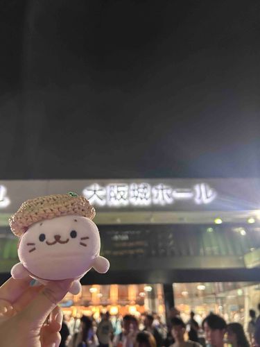 かわいいあいどるさん みにいったの！
ぼくも こんなふうに きらきらしたいな〜✨
でも かいぬしに げんきをあげるのはまけてないんだからっ🦭