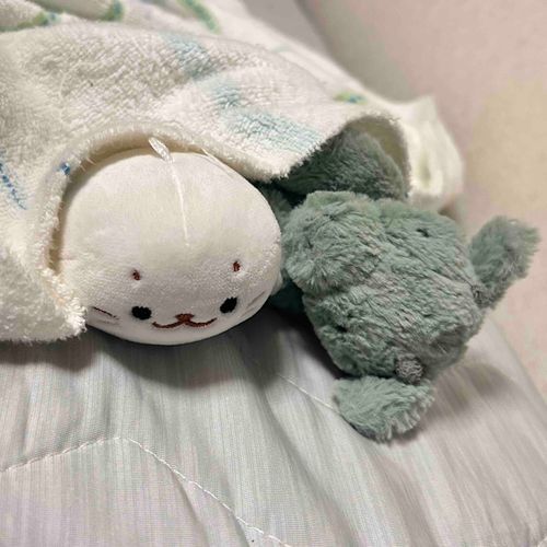 みんなおやすみ