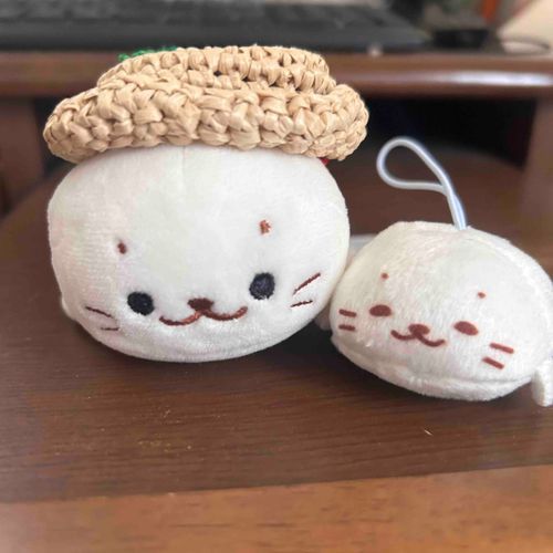ならべば たびのおもいで きょうゆうできるよ✨

たのしかったねえ〜