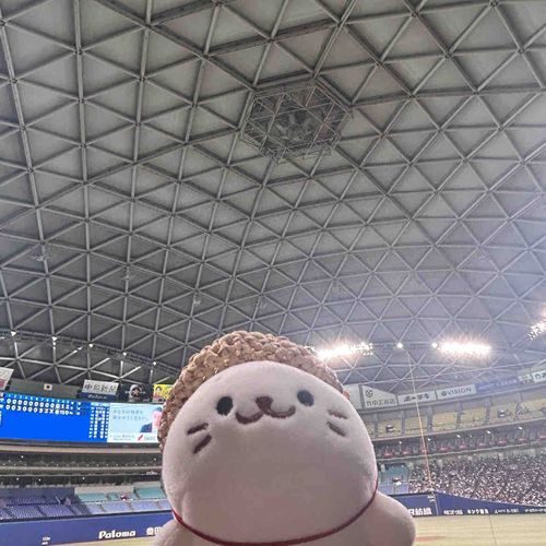 やきゅう みにいったよ！
いちろーさん　かっこよかった！