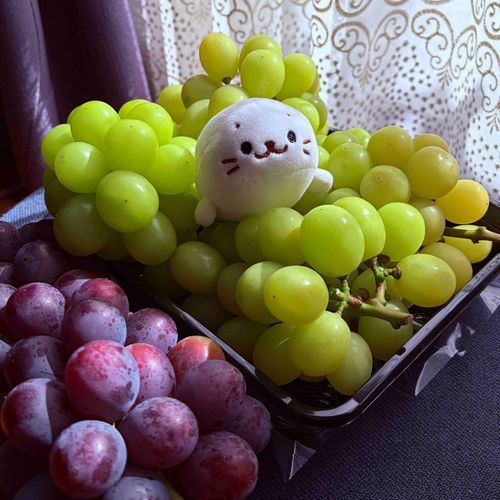 ぼくを さがせ