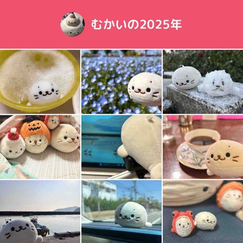 いちねんありがとう✨
よいおとしを！