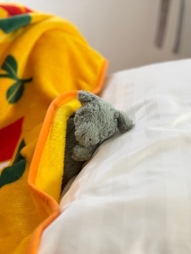 みんなおはよ〜

うーは もうちょい ねるね