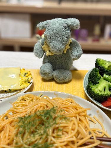 かいぬしが ブロッコリーすきだから よそってあげた🥦