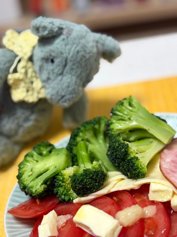 かいぬしが ブロッコリーすきだから よそってあげた🥦