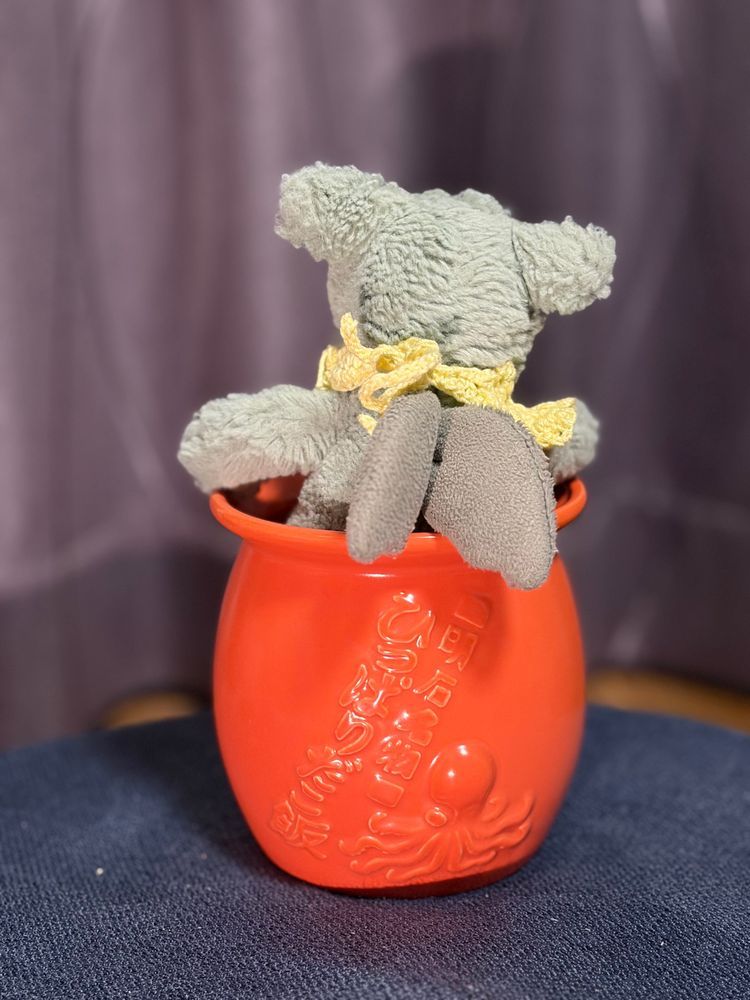 なんだか いごこち いいの🐙