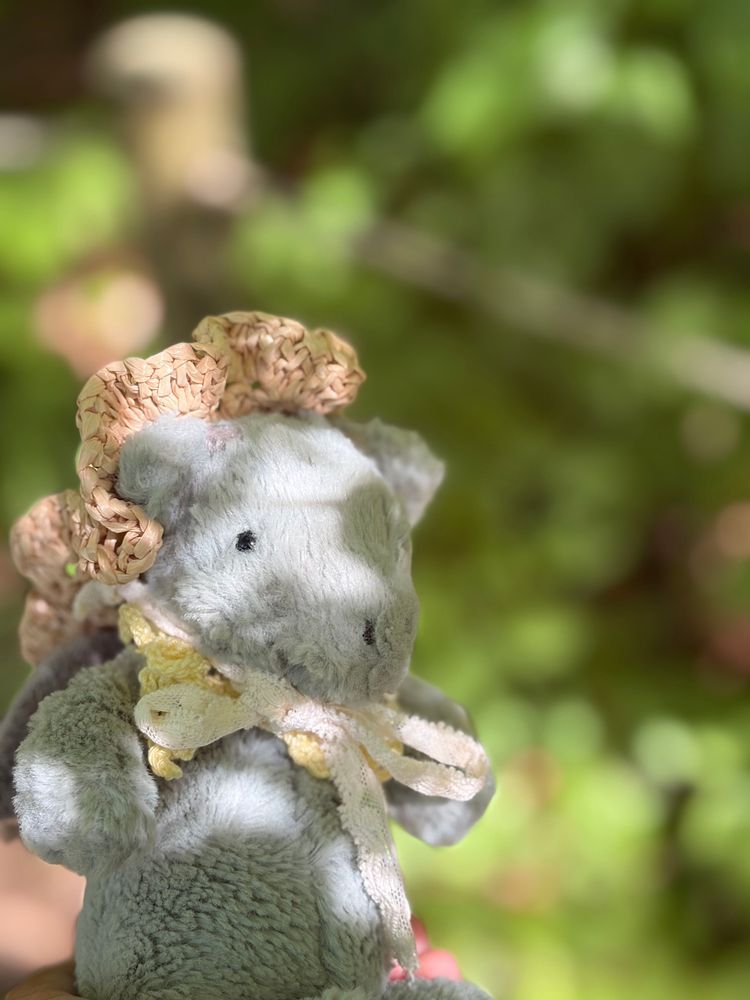 ことしも エーデルワイスをみにいったよ💐
花ことばは「たいせつな思い出」なんだよ✨
