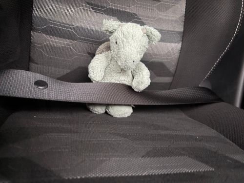 こんなに よるおそいのに かいぬしが ドライブいくよって...🚙