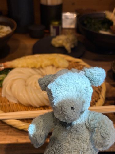 おいしそうな おうどんが あるね🥢