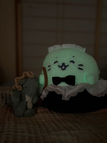 あたらしい　おともだち

ひかってるの