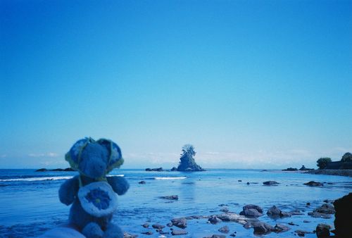 ふいるむを げんぞう？ してきたよ📷
3がつのしゃしんだから なんだか すずしそうだよね🧊🌊