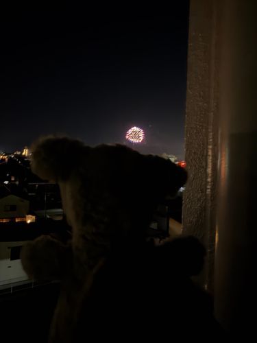 おともだちのおうちで はなびみたよ！
おっきいおと びっくりだったけど きれいだった🎇