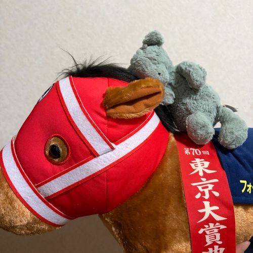かいぬしは はんぼうき なんだって！
うー よくわからないけど おいしいやつな きがするよ🍕

きょうは おうまさん のせてもらったの🏇