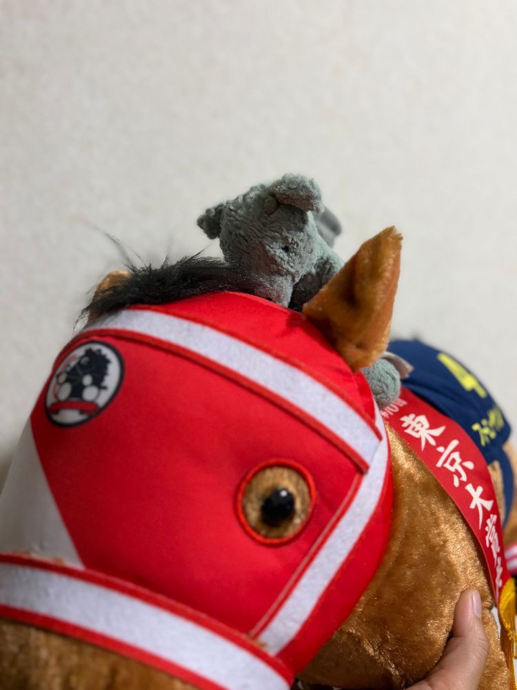かいぬしは はんぼうき なんだって！
うー よくわからないけど おいしいやつな きがするよ🍕

きょうは おうまさん のせてもらったの🏇