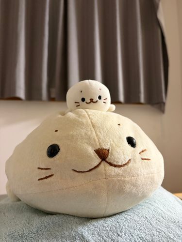 きょうは しろたんの おたんじょうびだね🦭🎂