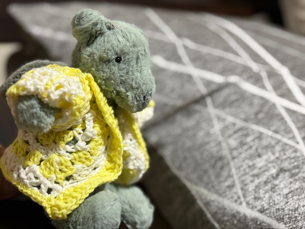 きょうはね おねえちゃんが おようふく つくってくれたの！🧶
なんだか おうさまみたい✨