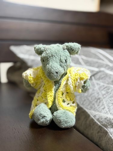 きょうはね おねえちゃんが おようふく つくってくれたの！🧶
なんだか おうさまみたい✨