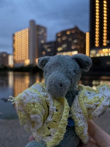 きらきらだねえ