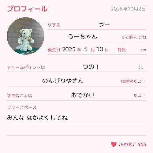 ぷろふぃーる かいてみたの